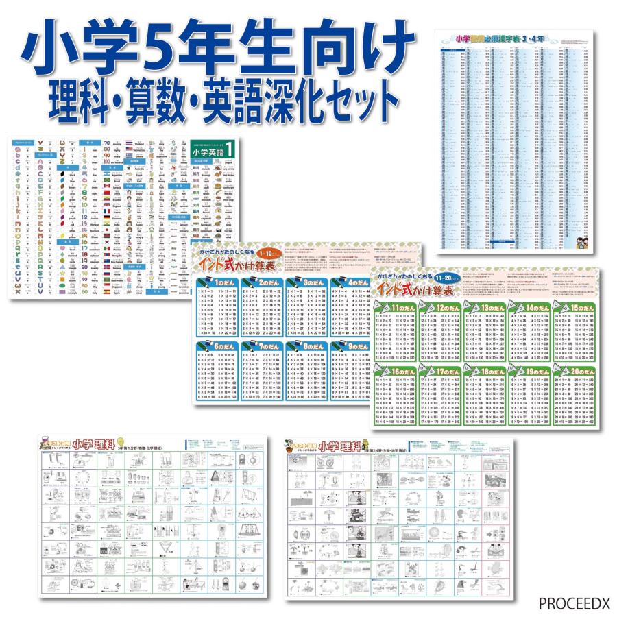小学5年生向け 理科・算数・英語深化セット pro-3299 : PROCEEDX