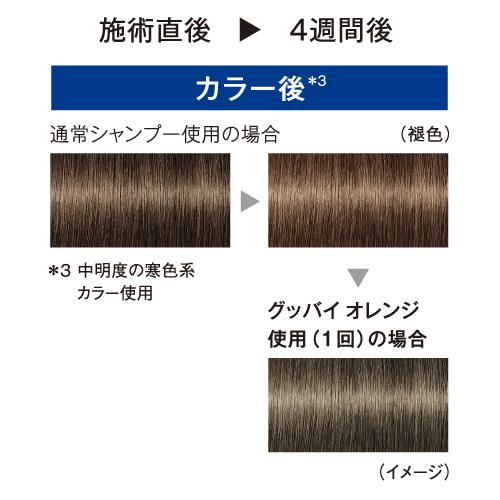 GOODBYE ORANGE シュワルツコフ グッバイオレンジ カラーシャンプー