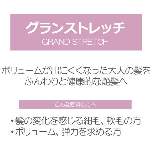 FLOWDIA デミ フローディア シャンプー グランストレッチ 詰替え 450ml