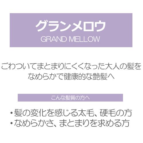 FLOWDIA デミ フローディア グランメロウ シャンプー 詰替え 1000ml +