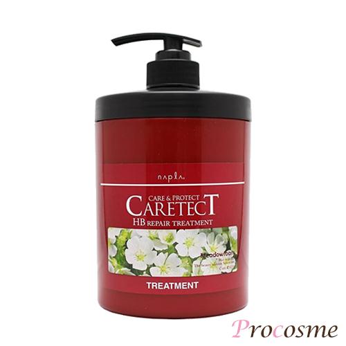 CARETECT HB ナプラ ケアテクトHB リペアトリートメント 650g : プロ