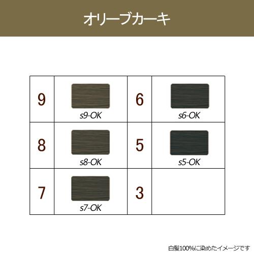 ORDEVE（オルディーブ） ミルボン シーディル オリーブカーキ 第1剤