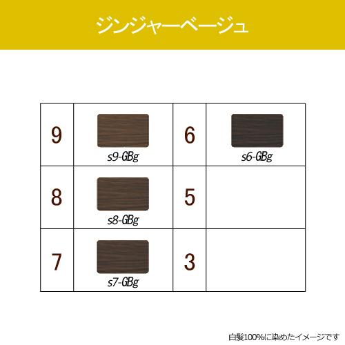 ORDEVE（オルディーブ） ミルボン シーディル ジンジャーベージュ 第1