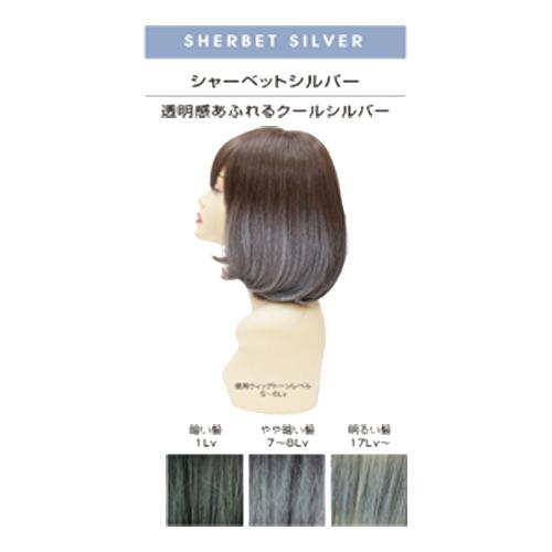 アレス（ALES） カラー パウダースプレー シャーベットシルバー 60g