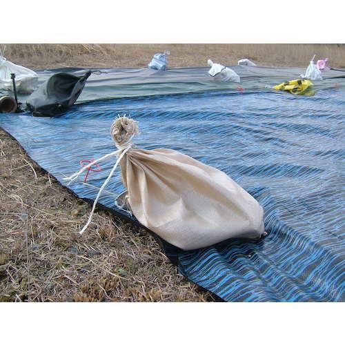 萩原 ターピー 強力土のう袋(収納袋) ベージュ 48cm×62cm  ▼103-0103 PPKB4862BE200  200枚の画像