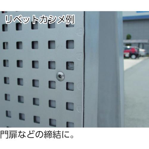 ブラインドリベット(アルミ/アルミ製) 6-2(1000本入) 箱入  ▼125-8699 NA62  1箱 【ユーロテック】 ●YA513