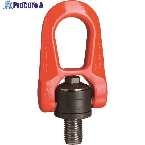 イーグル・クランプ EAGLE CODIPRO 基本使用荷重2.5t 131-1452 DSR-M20 1個 : プロキュアエース - 通販 ...