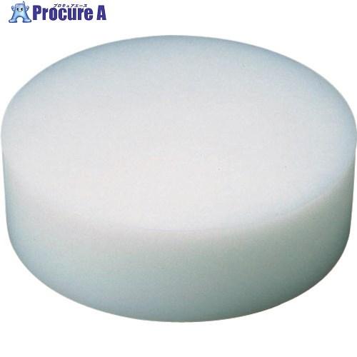 遠藤商事 TKG 住友 プラスチック中華まな板 小 H150mm □▽186-2486