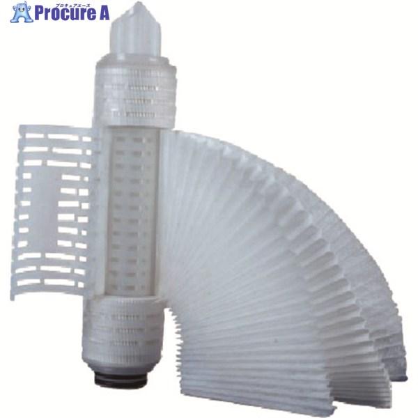 Parker プロキュアエースのparker 精密ろ過用pesメンブレンフィルターカートリッジ Ecophilicシリーズ Epp045 2n S キッチン 195 05 Epp045 2n S パーカー ハネフィン日本 株 レンジフード フィルター Www Thomwerk Nl