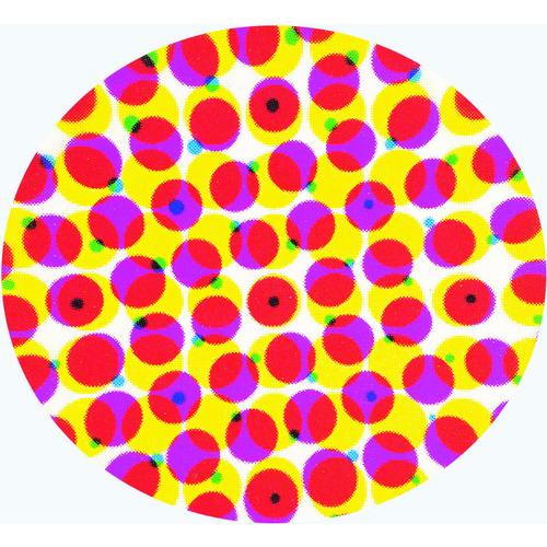 リーフ ポケットマイクロスコープ ▽219-1024 8040-25 1個 : プロ