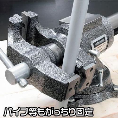 アストロプロダクツ マルチベンチバイス 125mm BV790 ▽252-7002 アストロプロダクツ マルチベンチバイス 125mm BV790 ▽252-7002