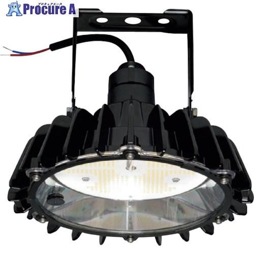 日立（HITACHI） 高天井用LEDランプ アームタイプ 特殊環境 屋外形