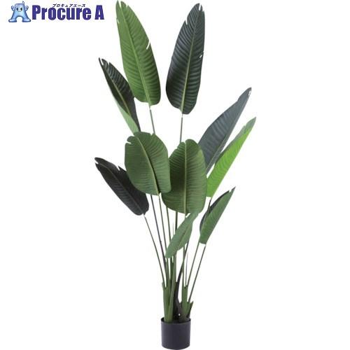 リレヤ 人工観葉植物 ストレリチア Wd 07 人工観葉植物 261 5560 Wd 07