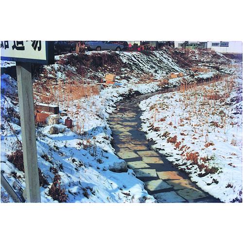 エム・エーライフ 油吸着材 タフネルオイルブロッター マット状 500x500mm 厚さ4mm (100枚入)  ▼284-1193 BL-50  1箱の画像