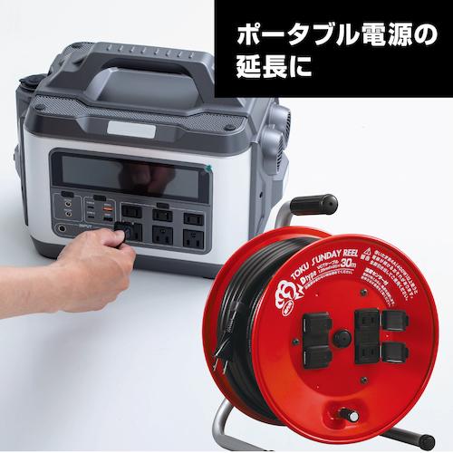 ハタヤ トクサンデーリール 単相100V 30m ▼287-6230 D-30R 1台_1