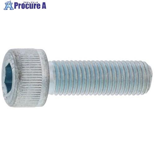 SUNCO CAP(六角穴付きボルト)(細目P-0.5 5×20 (10本入)  ■▼357-8149 A0-00-0004-0050-0200-00-10  1パック | サンコーインダストリー