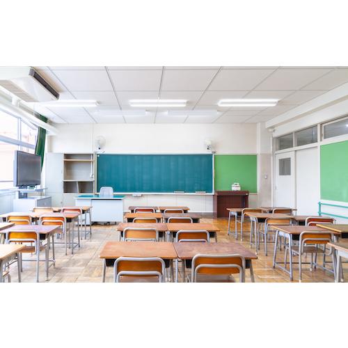 CAT サーキュレーター 35cm(壁・床タイプ) イエロー ▽364-4918 HVD