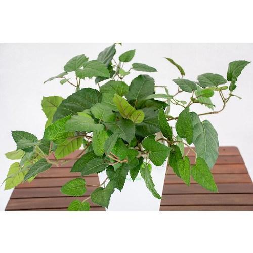 グリーンクロス 人工樹木/人工観葉植物 ブドウ  ■▼412-7807 6300028773  1個_1