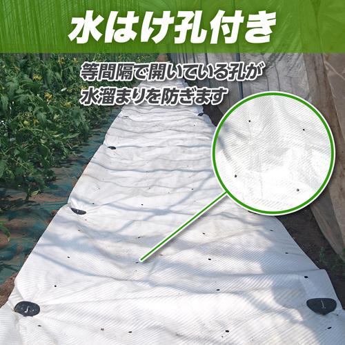萩原工業 萩原 ターピー スノーテックスクロス(果樹反射用) 1.8×50m