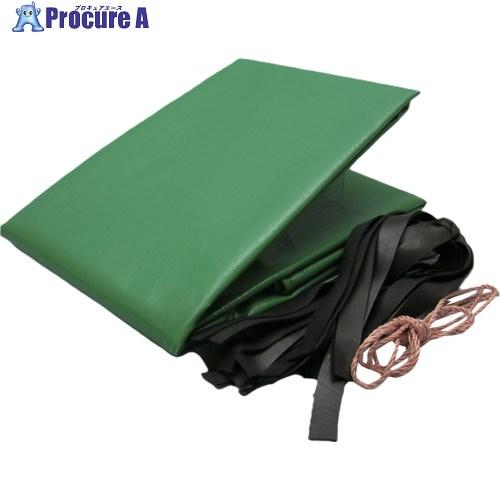 全日本送料無料 ユタカメイク シート トラックシート帆布 5号 260 480cm Yhs 5 431 5405 株 ユタカメイク 最適な材料 Www Alquimiafestas Com Br