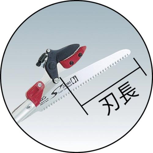 ARS 伸縮高枝鋏ズームチョキKタイプアンビルつかみ付き  ◇▼440-0313 184ZKA-3.0-5D  1丁_1