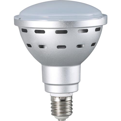 ハタヤ 45W LED作業灯 100V ▽470-6901 RXL-10W 1台 : プロキュア