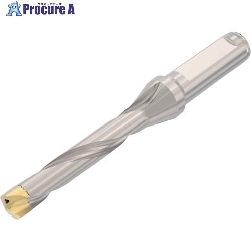 セコ ドリル加工 Crownloc(クラウンロック) SD105  ▼484-8167 SD105-16.00/16.99-80-16R7  1個 | 