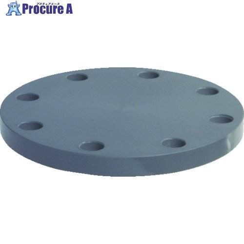 エスロン 板フランジsb型 80 Jis10k Pvc 494 9421積水化学工業 株 494 9421 プロキュアエース 通販 Yahoo ショッピング