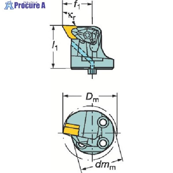 人気特価激安 サンドビック コロターンsl コロターンrc用カッティングヘッド 570 Ddunr 40 15 601 2965 サンドビック 株 コロマントカンパニー 新品即決 Www Skylanceronline Com