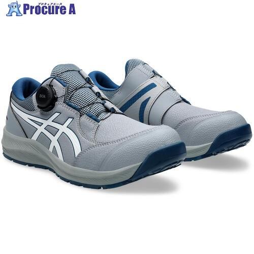 ASICS ウィンジョブCP309 BOA シートロックXホワイト 30.0cm ▽606