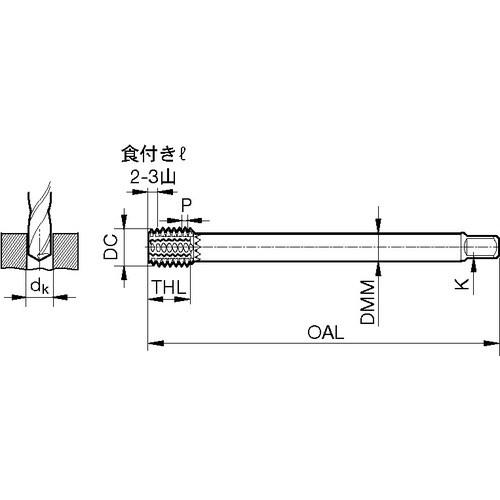 GUHRING フォーミングタップ メ-水銀柱ミリメートル所せまいねじ モジュラタップヘッド M22×1.5  ■▼712-8969 4871 22.007  1個