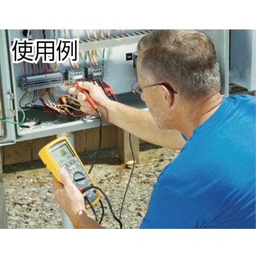 FLUKE デジタル・マルチメーター付絶縁抵抗計(2レンジ) ▼769-3176 1577 1台_1