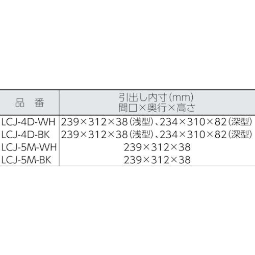 PP-「P」　3枚 Iris（イリス） IRIS 207065 レターケース LCJ-5M-BK 5段 ブラック