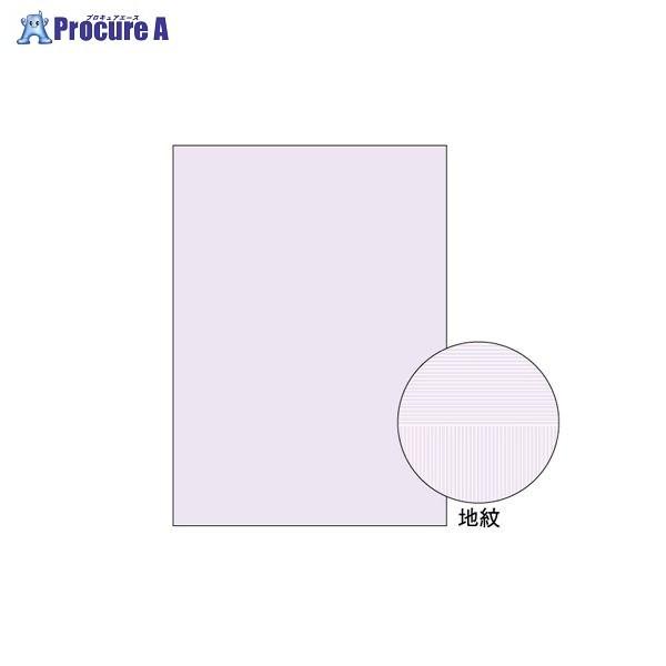 ヒサゴ A4 コピー判別用紙 両面大入り BP2110Z ▼8909 ヒサゴ(株) ●a559