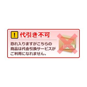 SDS 防塵ラック まもる君 スタンダード L 1枚扉 ファンタイプ PS-171F 1台 エスディエス 【代引決済不可】 ●YU501_6