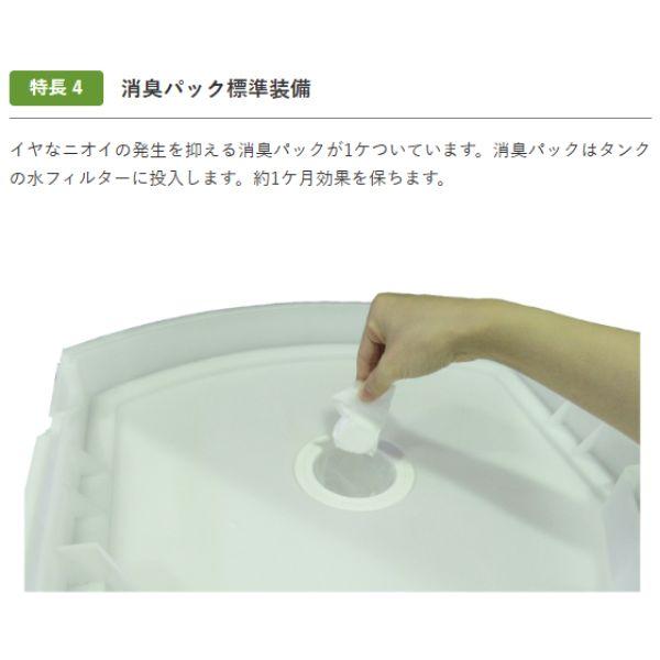 気化式冷風機 業務用 静岡製機 RKF306a 1人用 単相100V フロン排出抑制法対象外 冷風到達4m RKF306a RKF306アルファ ●YA513の画像
