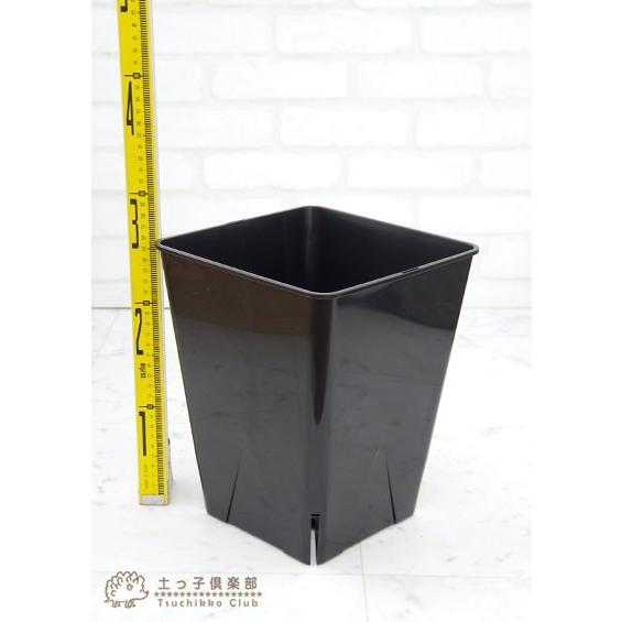 のびのび育つ 『 スリット鉢 スクエア 』 8号角型【5個セット】【 送料無料 】