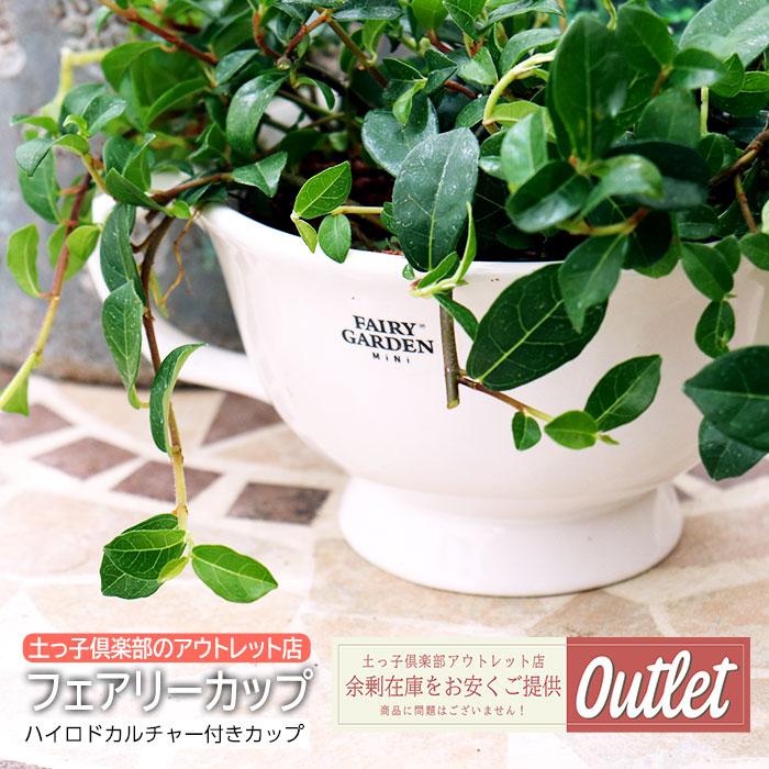 アウトレット マグカップ ハイロドカルチャー ハイドロボール