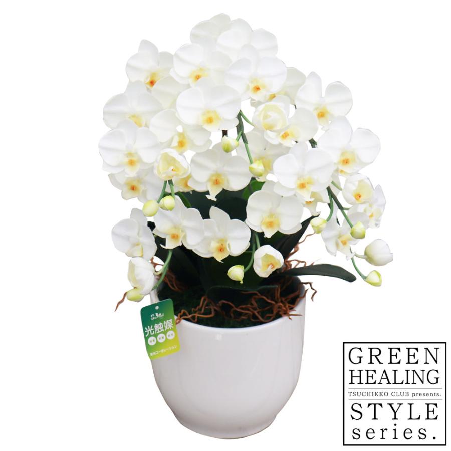 胡蝶蘭 ( 白黄 ) コチョウラン 光触媒 室内 インテリア 雑貨 置くだけ