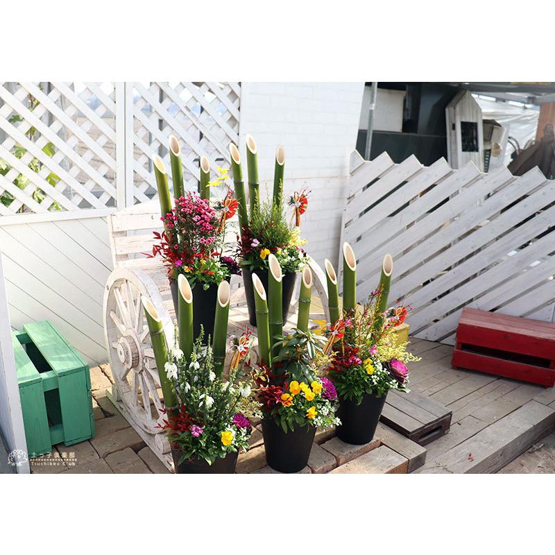 選べる門松 お正月寄せ植え 単品1個 正月飾り 玄関などに 門松アレンジ寄せ植え 7号鉢植え 送料無料 早割500円クーポン付き 11月30日まで Gp 029 花と緑の専門店 土っ子倶楽部 通販 Yahoo ショッピング