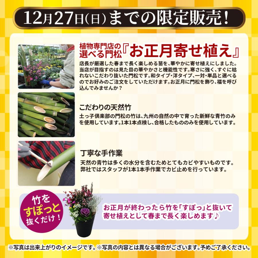 正月飾り 門松 送料無料『 お正月寄せ植え 』 単品1個 門松アレンジ