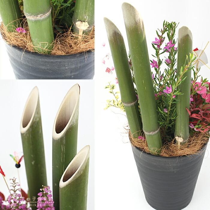 正月飾り 門松 送料無料『 お正月寄せ植え 』 単品1個 門松アレンジ