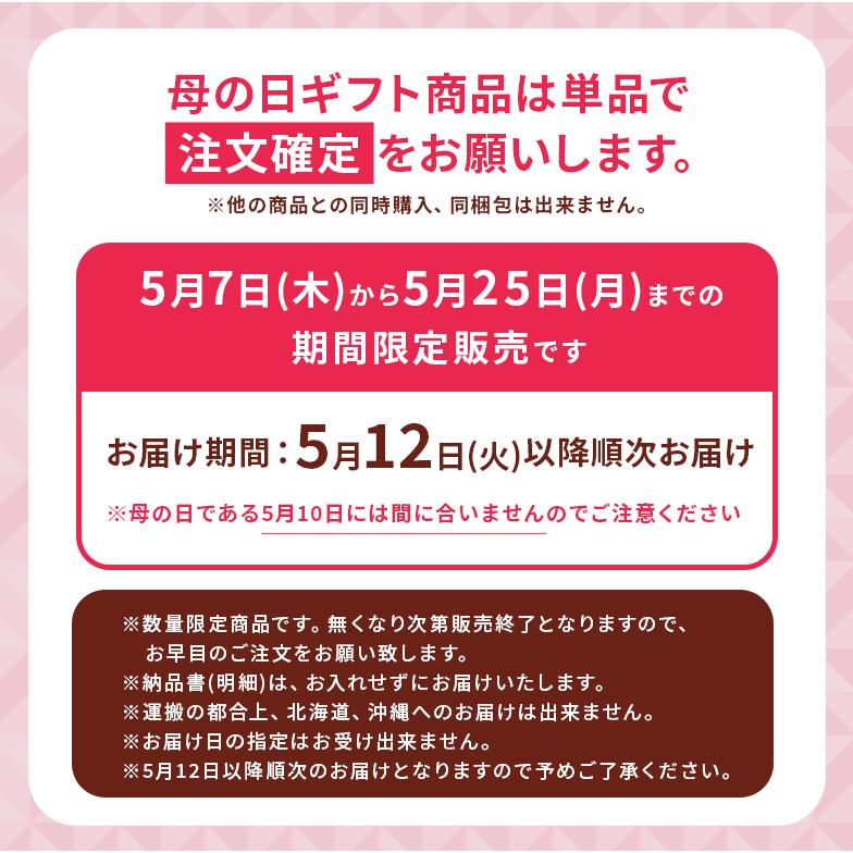 母の日 カルミア『 オスボレッド 』5号鉢 母の日ギフト アメリカ