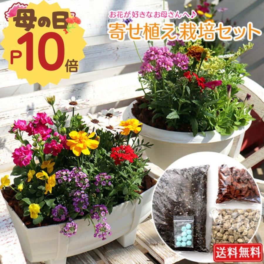 母の日『 寄せ植え 栽培セット 』 寄せ植え 花苗 培養土 植木鉢付 花 ギフト 母の日ギフト 2026 花ギフト おしゃれ 鉢植え 長く楽しめる 送料無料 土っ子倶楽部（Yahoo!・花と緑の専門店 土っ子倶楽部）