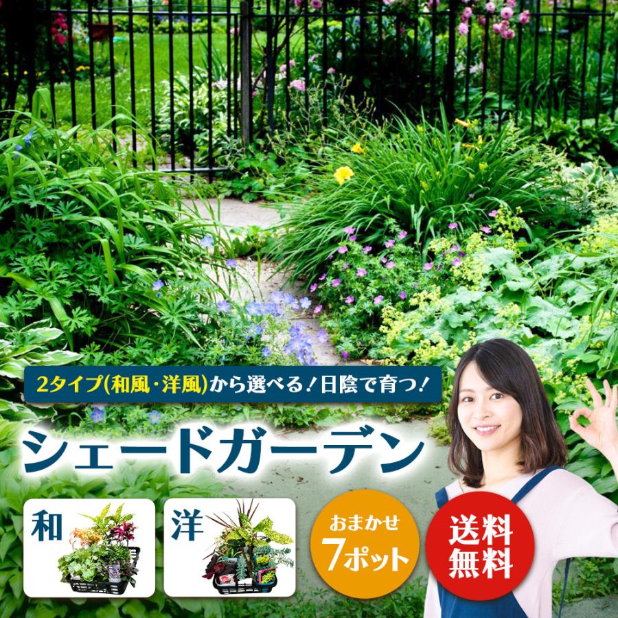 土っ子倶楽部 日陰で育つ 2タイプ(和風・洋風)から選べる シェードガーデン おまかせ7ポット Mix 苗 セット  爆買（Yahoo!・花と緑の専門店 土っ子倶楽部）