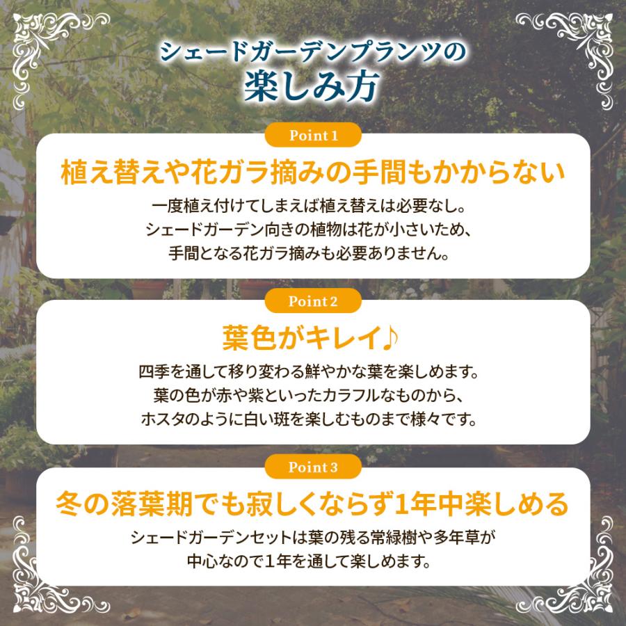 土っ子倶楽部 日陰で育つ 2タイプ(和風・洋風)から選べる シェード
