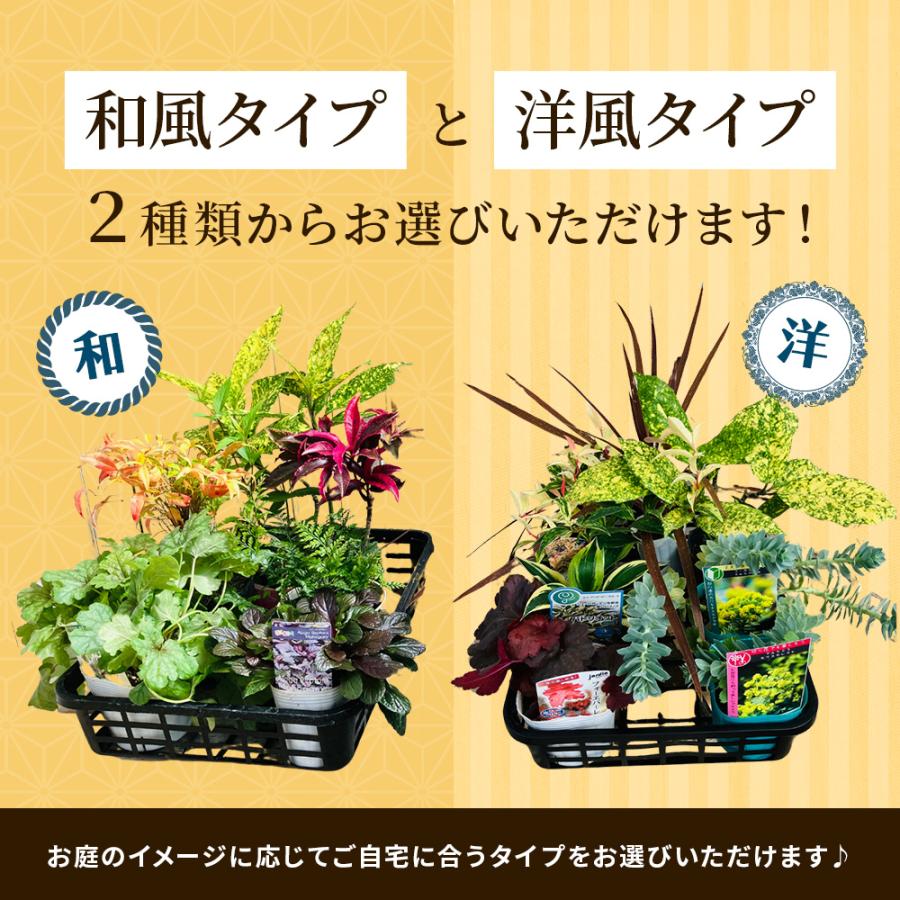 土っ子倶楽部 日陰で育つ 2タイプ(和風・洋風)から選べる シェード