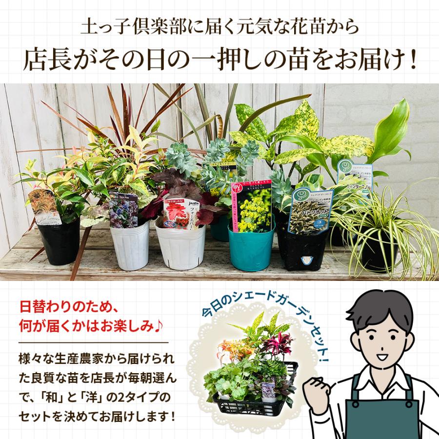 土っ子倶楽部 日陰で育つ 2タイプ(和風・洋風)から選べる シェード