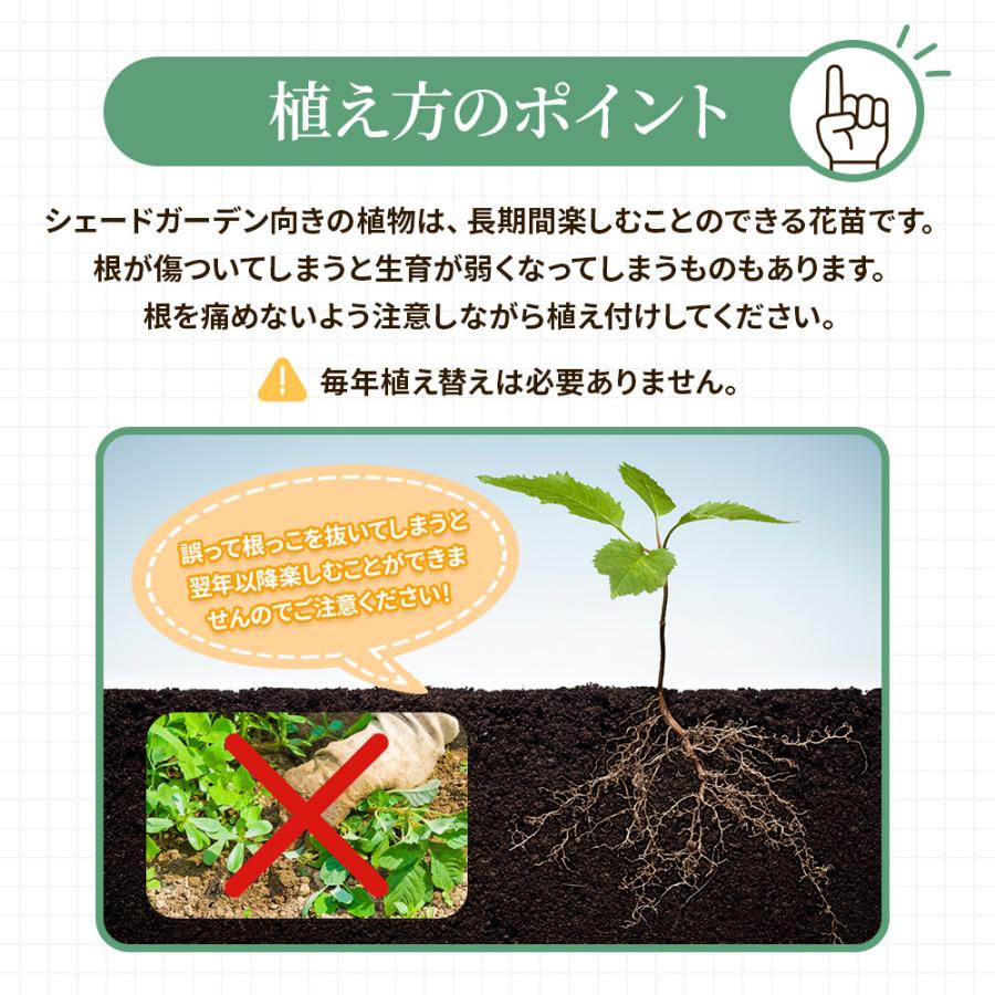 土っ子倶楽部 日陰で育つ 2タイプ(和風・洋風)から選べる シェード