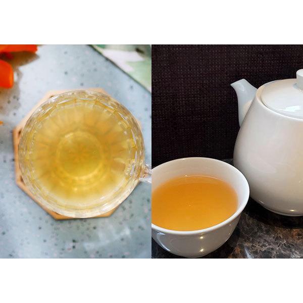 バラ咲き ジャスミン 9cmポット苗 （ 八重咲き / マツリカ / ピカケ / アラビアンジャスミン ） |  | 08